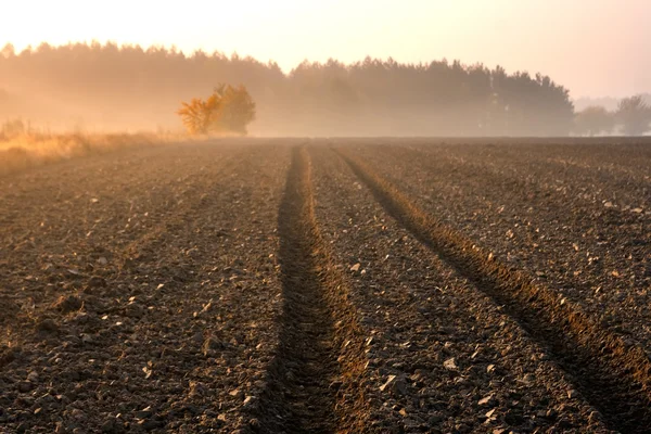 Ackerlandschaft gepflügt — Stockfoto