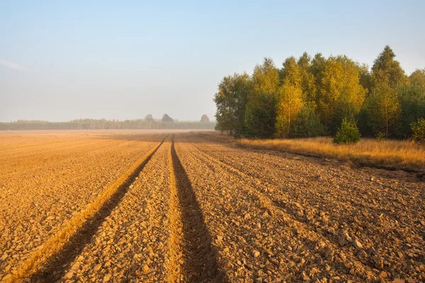 Plowed field landscape