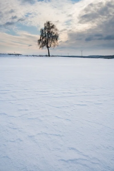 Winter veld landschap bij zonsondergang — Stockfoto