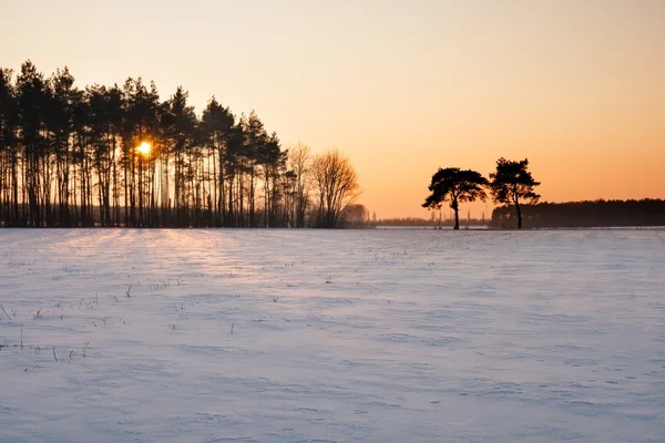 Winter veld landschap bij zonsondergang — Stockfoto