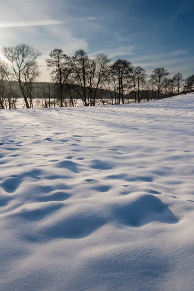 Winter veld landschap bij zonsondergang — Stockfoto