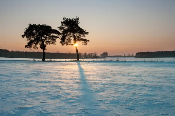 Paisagem de campo de inverno ao pôr do sol — Fotografia de Stock