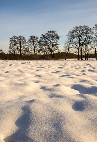 Winter veld landschap bij zonsondergang — Stockfoto