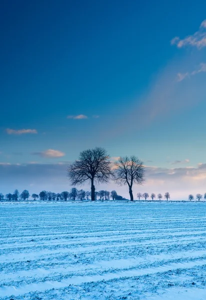 Campo de invierno paisaje al atardecer — Foto de Stock