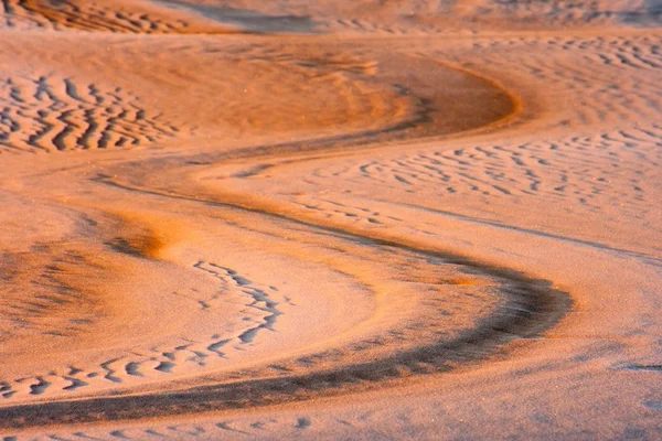 Dunes at sunrise landscape — Stock Photo, Image