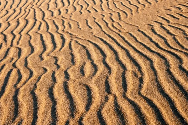 Dunes at sunrise landscape — Stock Photo, Image