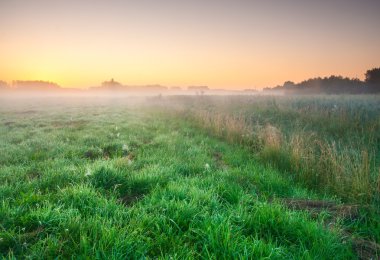 Sisli çayır gündoğumu