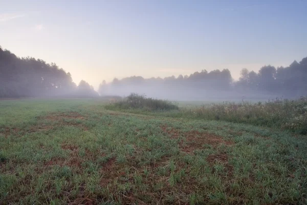 Foggy meadow sunrise — Stock Photo, Image