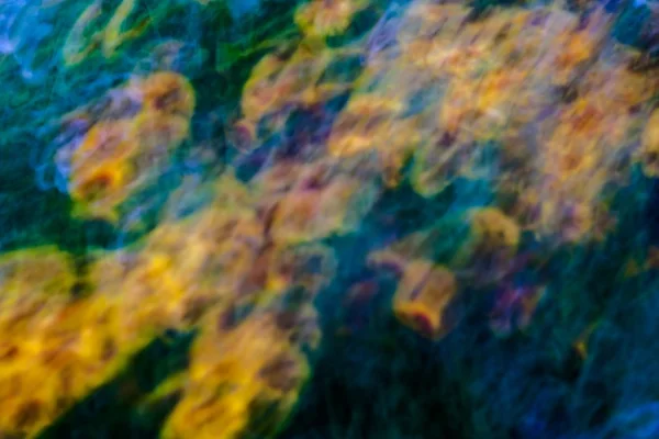 Long exposure abstraction of flowers — Stock Photo, Image