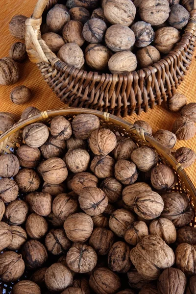 Walnuts composition — Stock Photo, Image