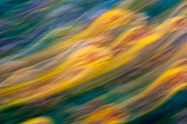 Uzun pozlama soyutlama çiçek