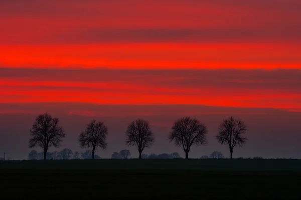 Céu bonito após o pôr do sol — Fotografia de Stock