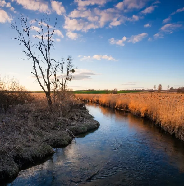 Paesaggio con fiume — Foto Stock