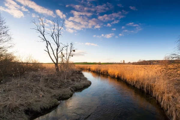 Paesaggio con fiume — Foto Stock