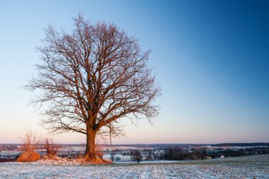 Kış alan günbatımı