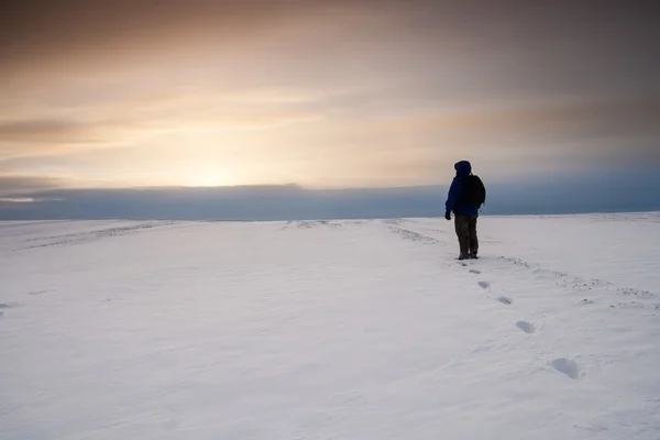 Snow fältet med en man — Stockfoto