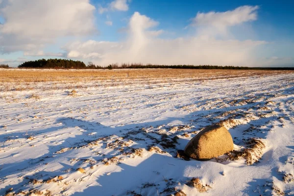 Veld zonsondergang in de winter — Stockfoto