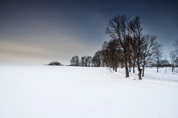 Winterfeldsonnenuntergang — Stockfoto