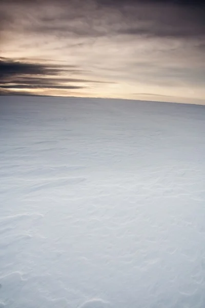 Vinter fältet sunset — Stockfoto