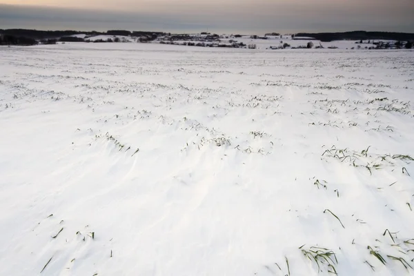 Veld zonsondergang in de winter — Stockfoto