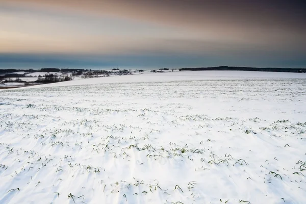 Winterfeldsonnenuntergang — Stockfoto