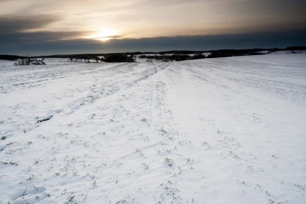 Veld zonsondergang in de winter — Stockfoto