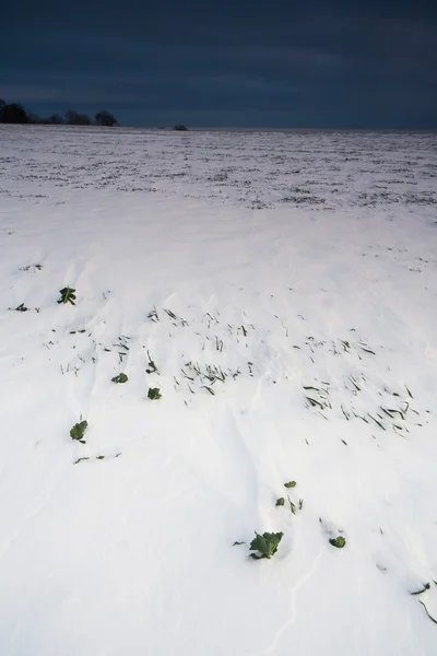 Kış alan günbatımı — Stok fotoğraf