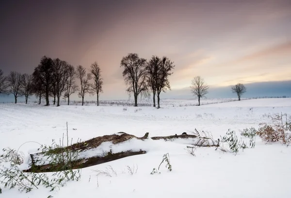 Pôr-do-sol campo inverno — Fotografia de Stock