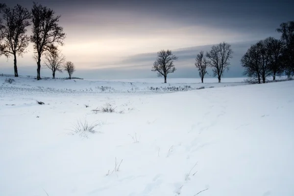 Campo de invierno puesta de sol —  Fotos de Stock