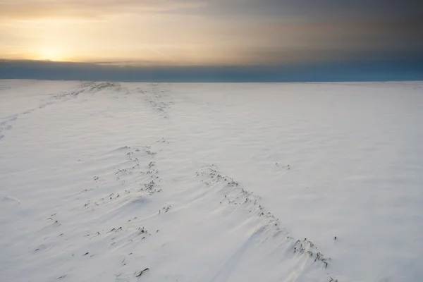 Veld zonsondergang in de winter — Stockfoto