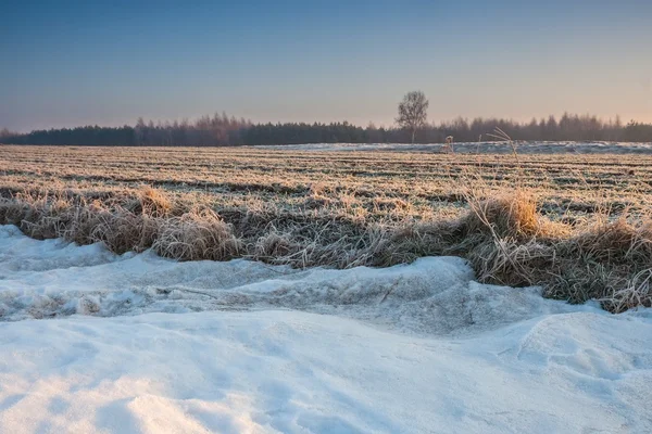 Winter field sunset — Stock Photo, Image