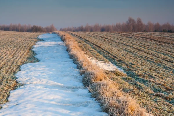 Campo de invierno puesta de sol — Foto de Stock