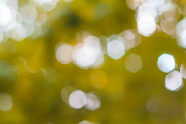 Nature bokeh background — Stock Photo, Image