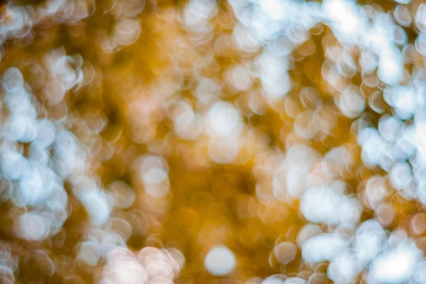 Nature bokeh background — Stock Photo, Image