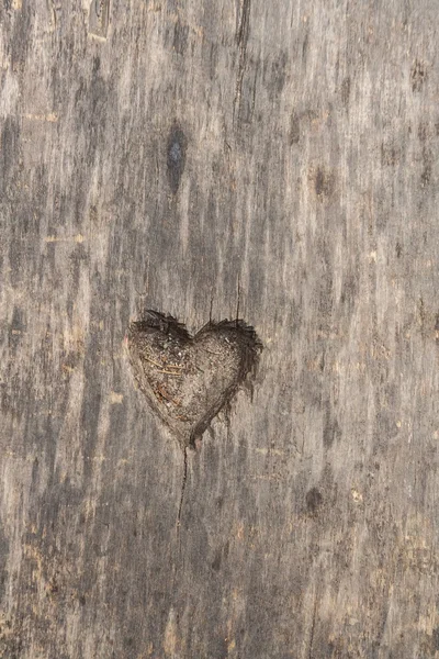Σχήμα καρδιάς κοπεί στο ξύλο — Φωτογραφία Αρχείου