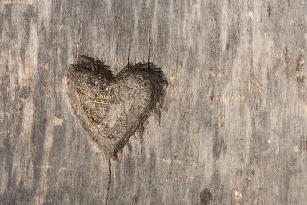 Forma del cuore tagliata in legno — Foto Stock