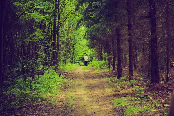 Vintage photo de l'homme marchant par le chemin dans la forêt — Photo