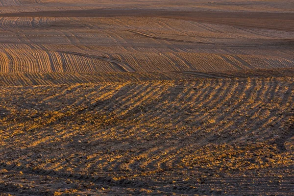 Arado paisagem campo — Fotografia de Stock