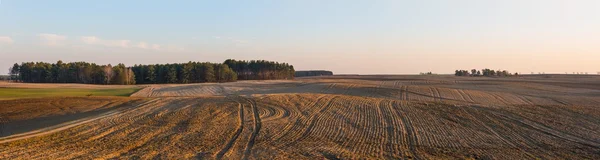 Zaorane pole panoramiczny pejzaż — Zdjęcie stockowe