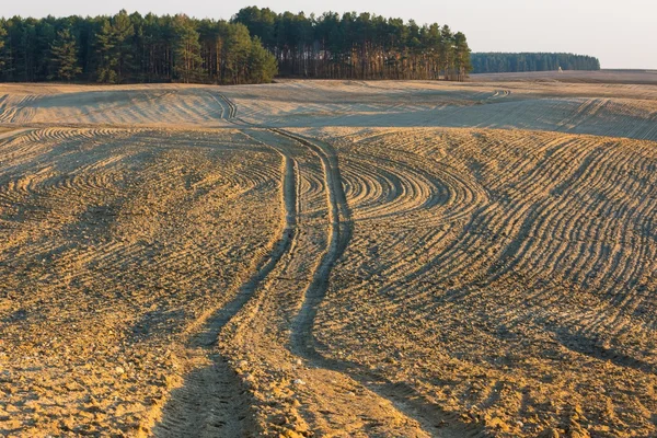 Plowed field landscape — Stock Photo, Image