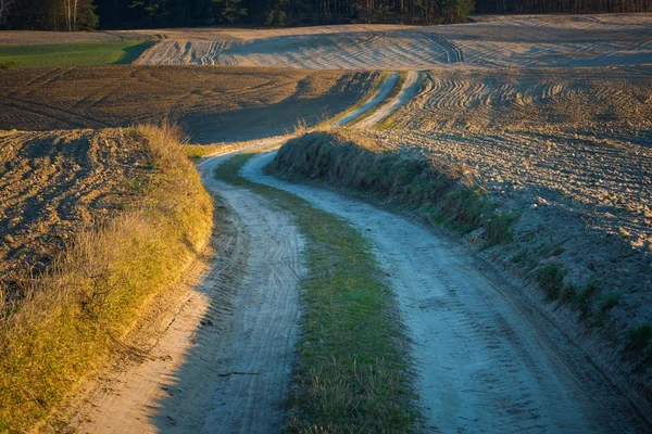 Camino rural arenoso y campos arados — Foto de Stock