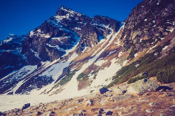 タトラ山脈の景色のビンテージ写真 — ストック写真