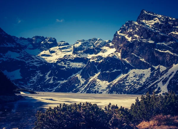 タトラ山脈の景色のビンテージ写真 — ストック写真