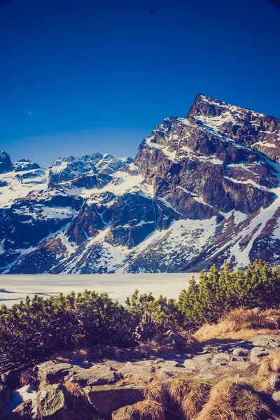 Vintage-Foto von Tatra-Gebirgslandschaft — Stockfoto