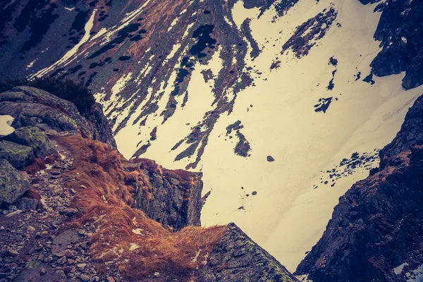 Вінтажне фото гірського ландшафту Татра — стокове фото