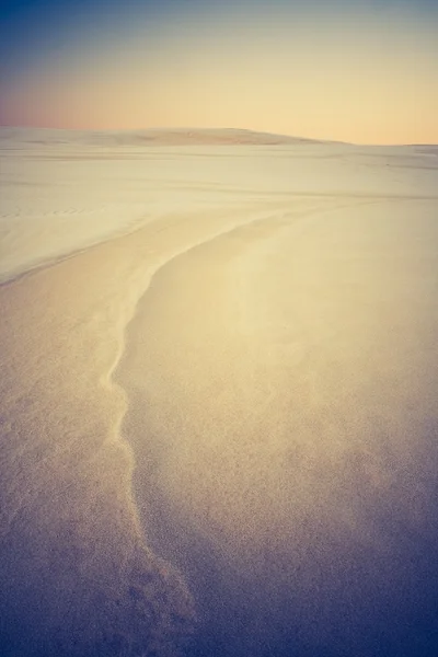 砂丘の風景のビンテージ写真 — ストック写真