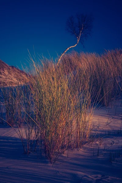 Vintage photo of sand dunes landscape