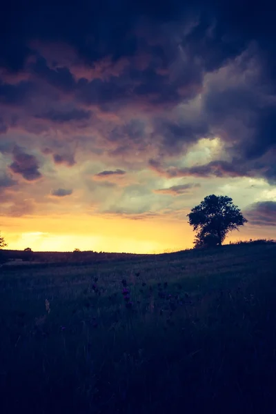 Ročník fotografické bouřková mračna nad polem — Stock fotografie