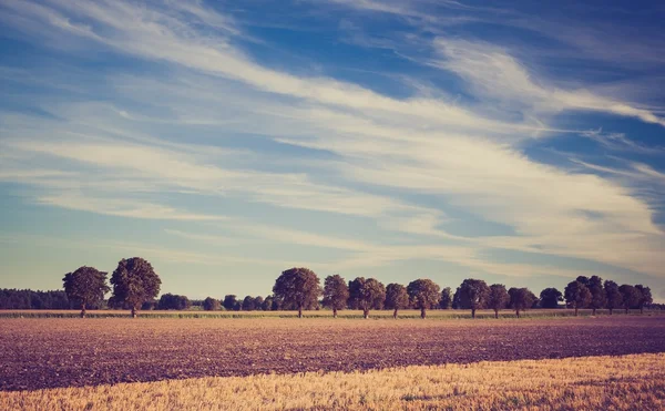 Vintage photo of stubble field — Stock Photo, Image