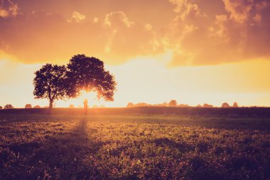 Vintage photo of sunset over trees an field clipart